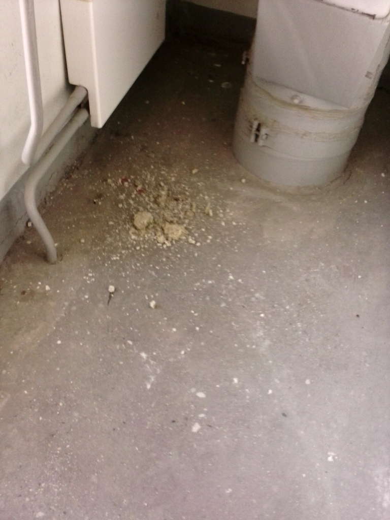 мои культурные соседи