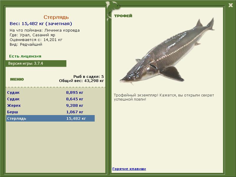 турниры • РУССКАЯ РЫБАЛКА