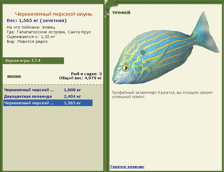 Крус • Галапагосские острова • РУССКАЯ РЫБАЛКА