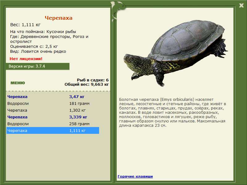 турниры • РУССКАЯ РЫБАЛКА