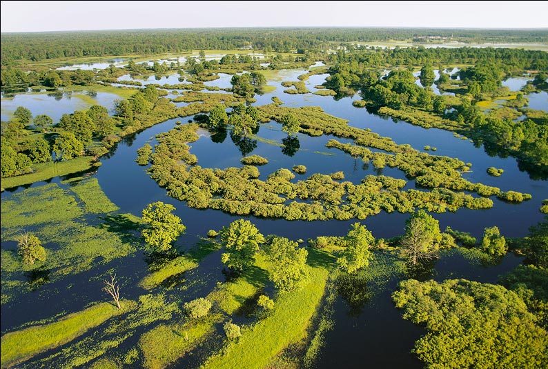  историко-политический форум • Просмотр темы - Славяне. Выход из тени