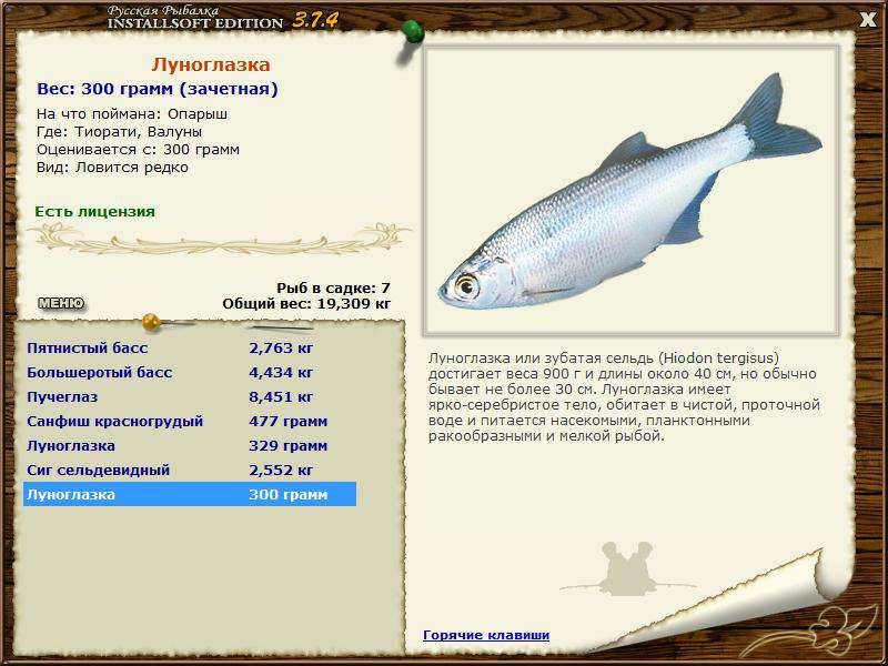 турниры • РУССКАЯ РЫБАЛКА