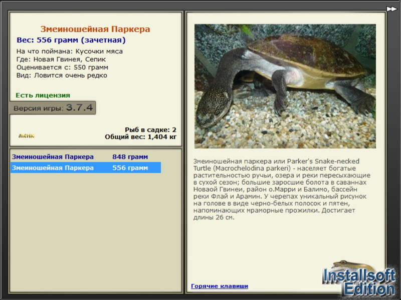 турниры • РУССКАЯ РЫБАЛКА