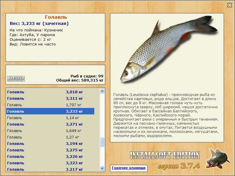 Pin by ЧБП ... on Мои сохраненные материалы Types of fish, Fishing bait, Google