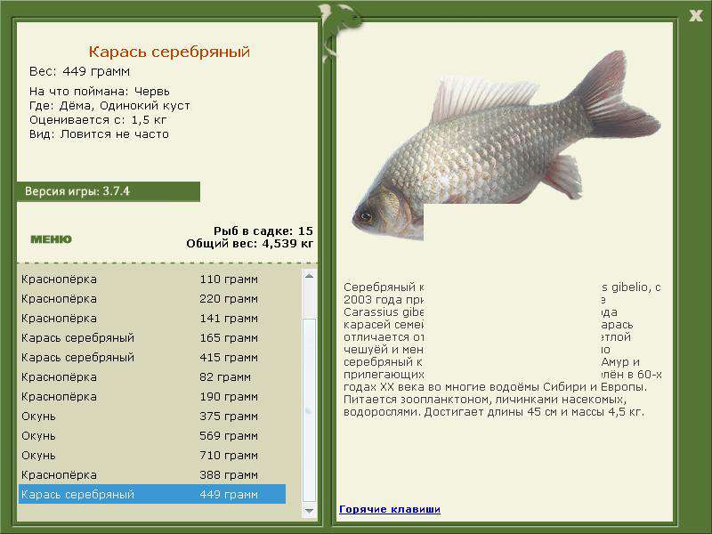 турниры • РУССКАЯ РЫБАЛКА