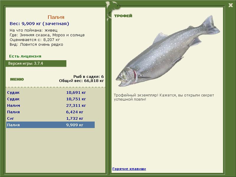 Палия на что ловить турниры * РУССКАЯ РЫБАЛКА