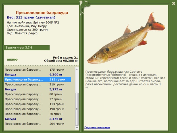 Негру • Амазонка • РУССКАЯ РЫБАЛКА