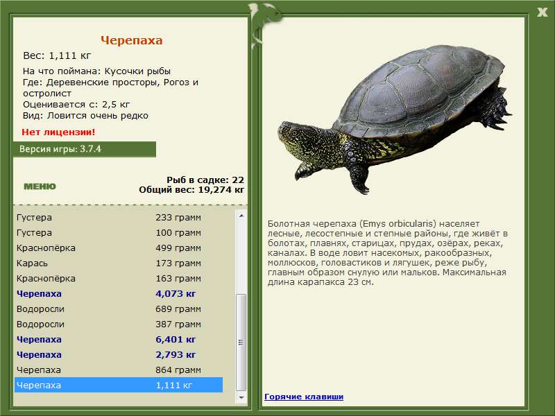 турниры • РУССКАЯ РЫБАЛКА