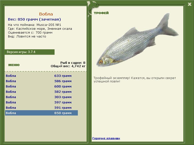 205 • Блёсны • РУССКАЯ РЫБАЛКА