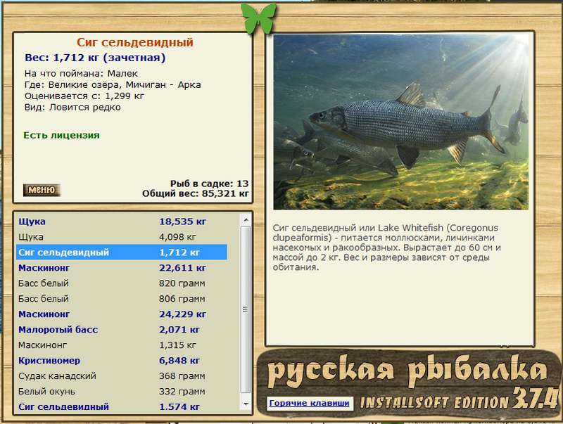 Арка • Великие Американские озёра • РУССКАЯ РЫБАЛКА