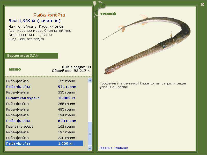 флейта • Рыбы • РУССКАЯ РЫБАЛКА