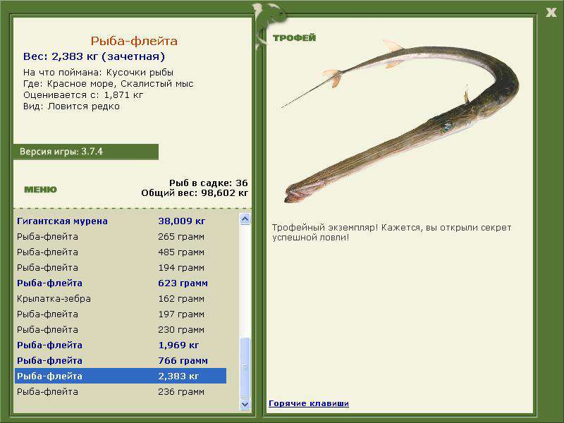 флейта • Рыбы • РУССКАЯ РЫБАЛКА