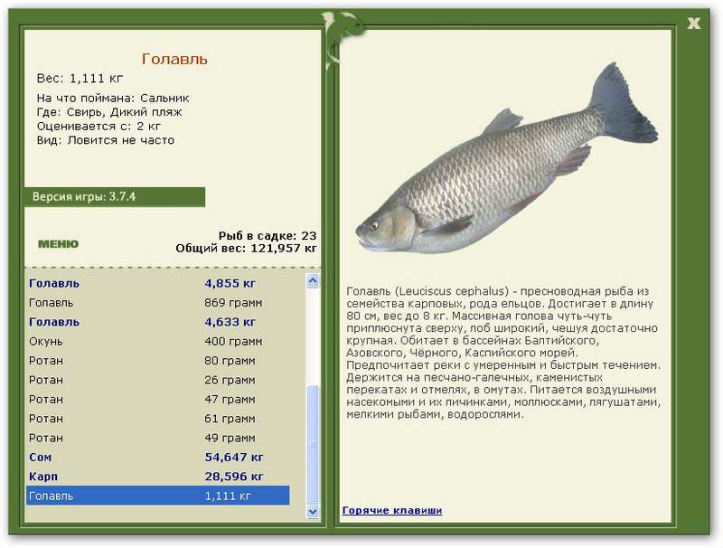 турниры • РУССКАЯ РЫБАЛКА