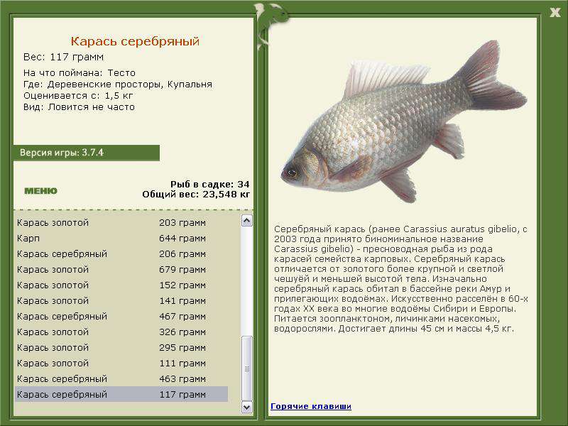 турниры • РУССКАЯ РЫБАЛКА