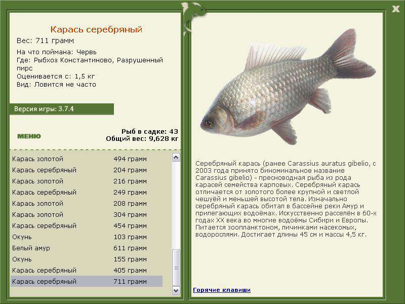 турниры • РУССКАЯ РЫБАЛКА