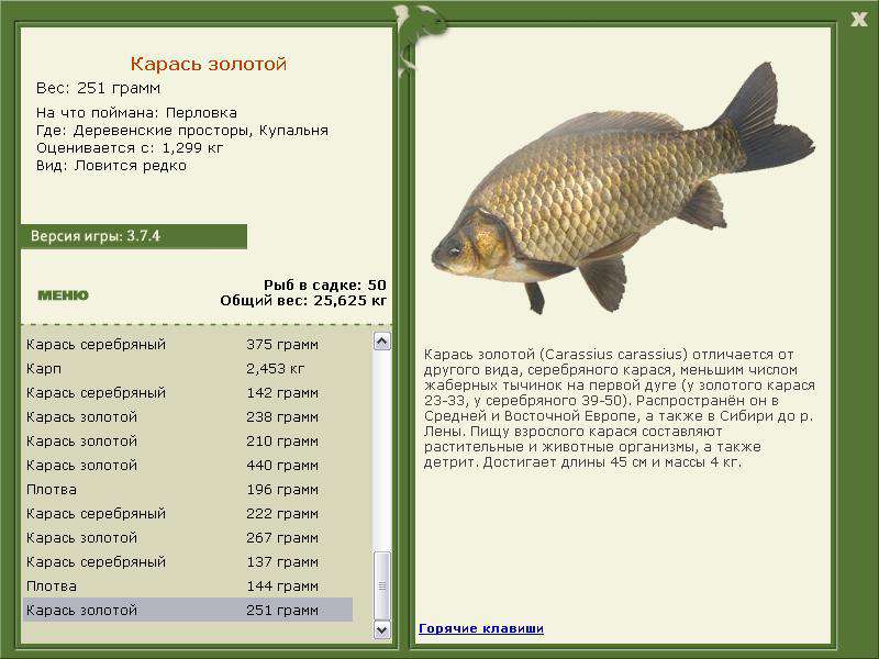 турниры • РУССКАЯ РЫБАЛКА