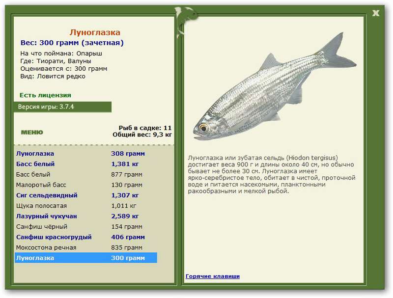 турниры • РУССКАЯ РЫБАЛКА