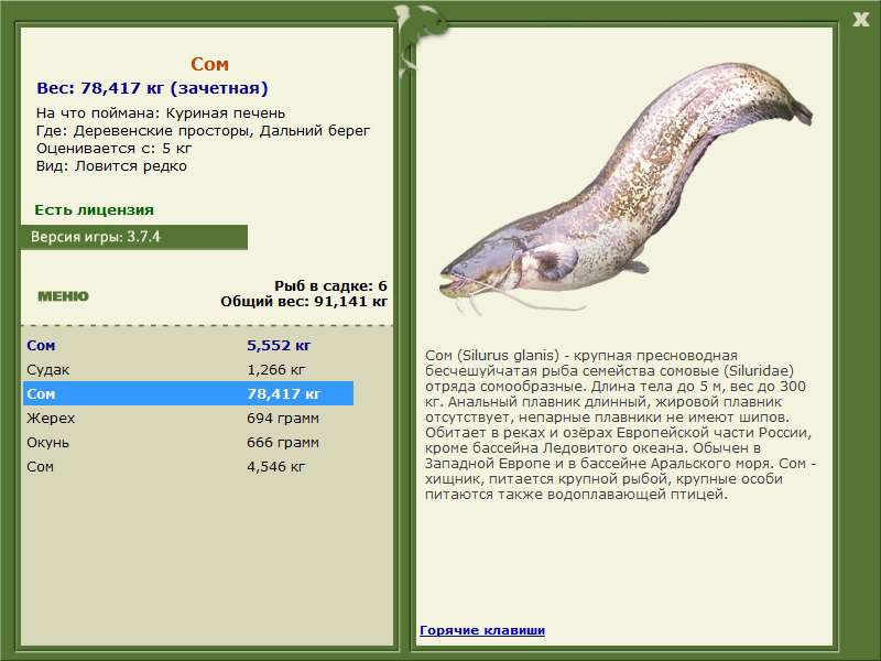  Максимальный Вес • Praise-турниры • РУССКАЯ РЫБАЛКА