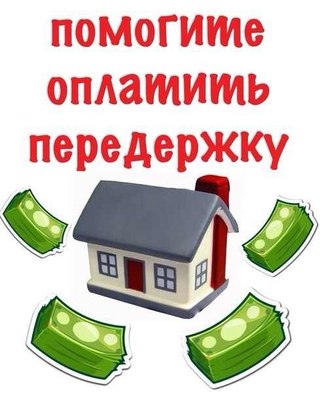  заявки на пиар в группах в ВК (только для сбора денег)