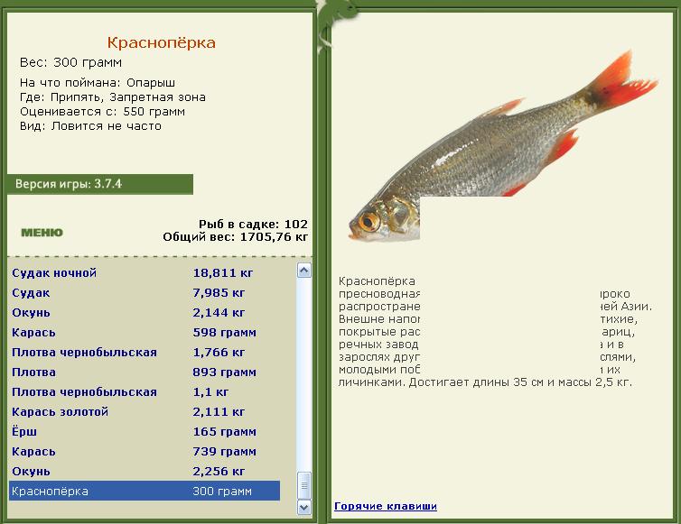 турниры • РУССКАЯ РЫБАЛКА