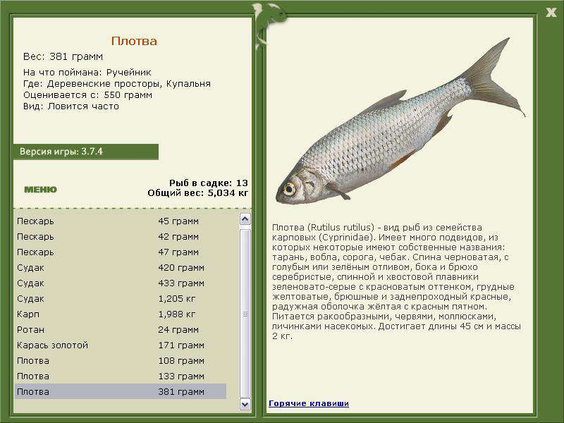 турниры • РУССКАЯ РЫБАЛКА