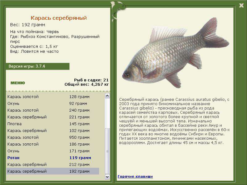 турниры • РУССКАЯ РЫБАЛКА