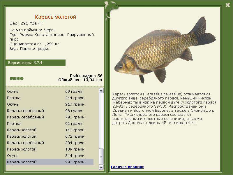 турниры • РУССКАЯ РЫБАЛКА