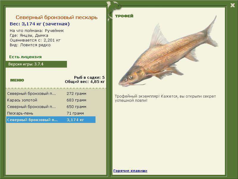 турниры • РУССКАЯ РЫБАЛКА