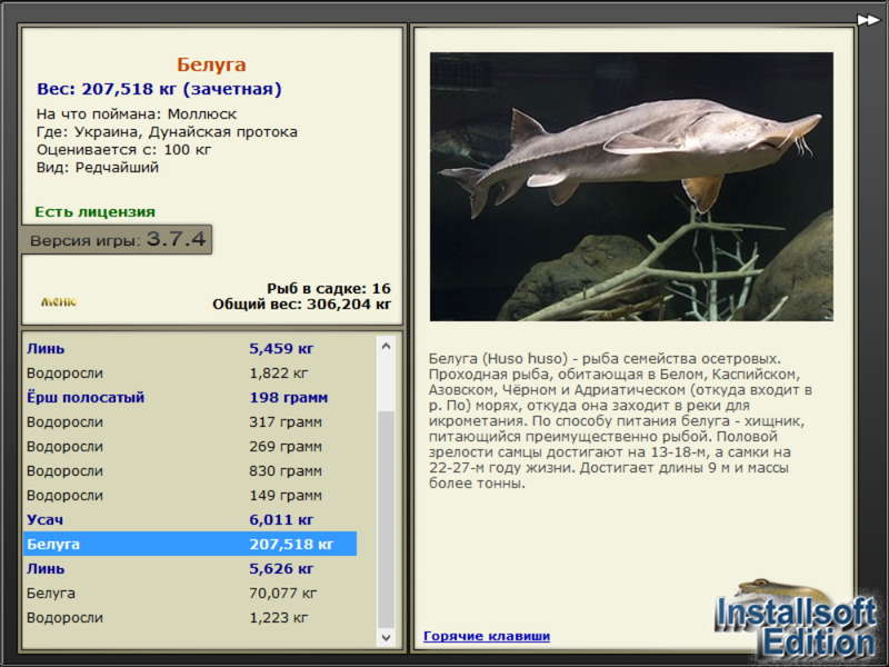  Максимальный Вес • Praise-турниры • РУССКАЯ РЫБАЛКА