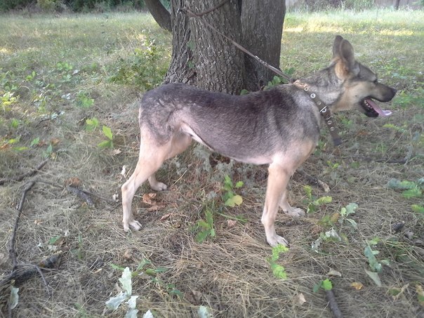  Заявки на фото