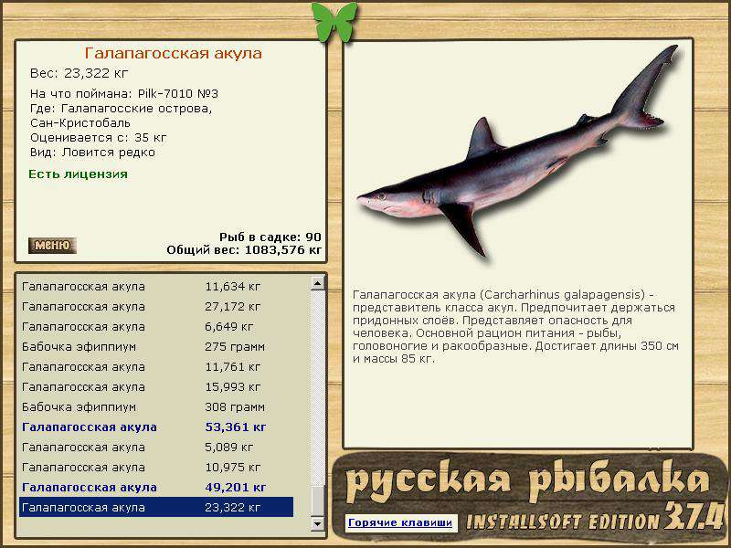 хаус • Praise-турниры • РУССКАЯ РЫБАЛКА