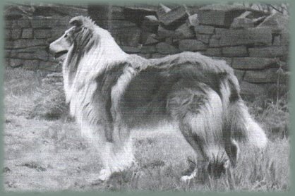  Brilyn Designer Image