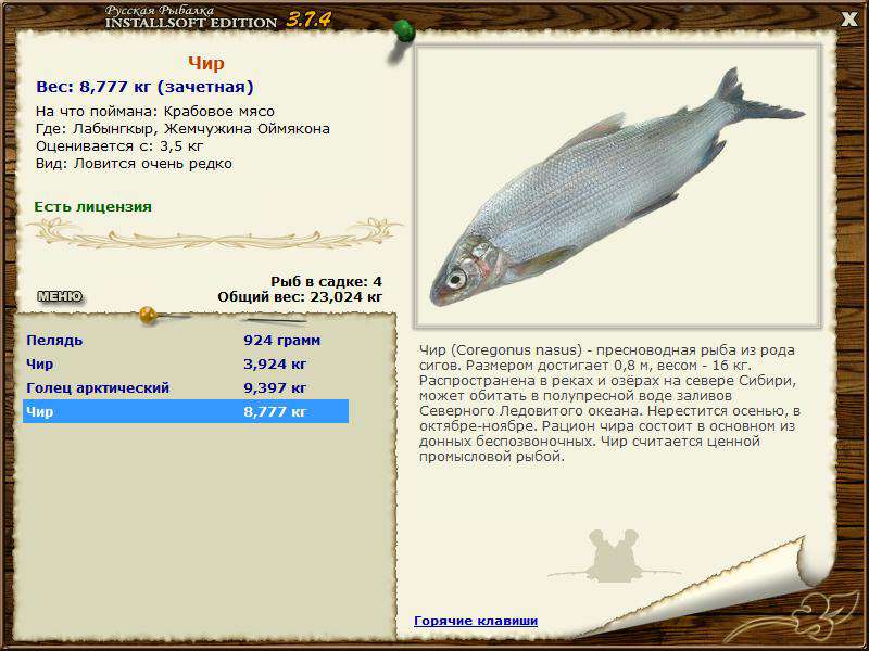 Русская рыбалка 3 подкаменная тунгуска