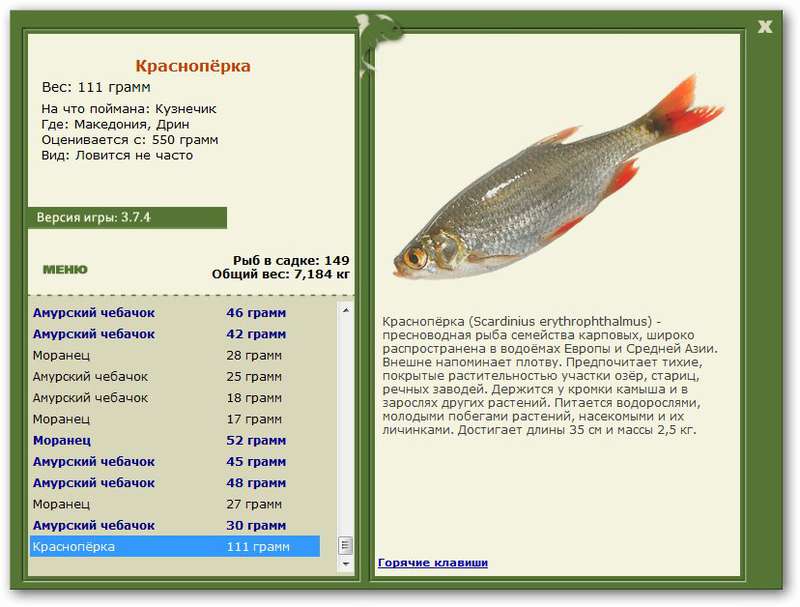 турниры • РУССКАЯ РЫБАЛКА