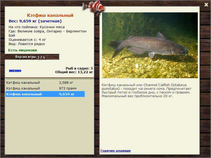  Берлингтон Бэй • Великие Американские озёра • РУССКАЯ РЫБАЛКА