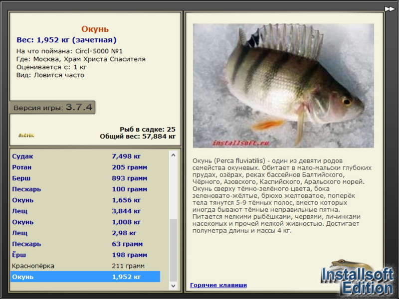 турниры • РУССКАЯ РЫБАЛКА