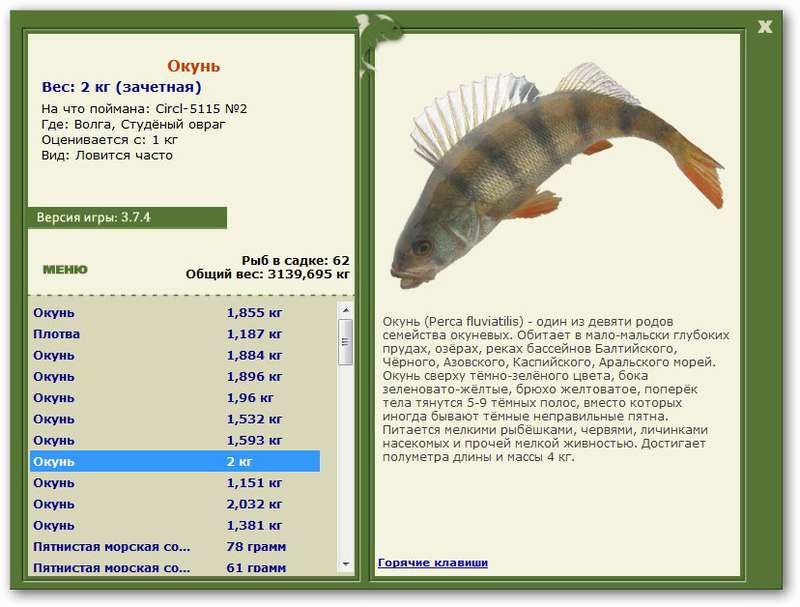 турниры • РУССКАЯ РЫБАЛКА