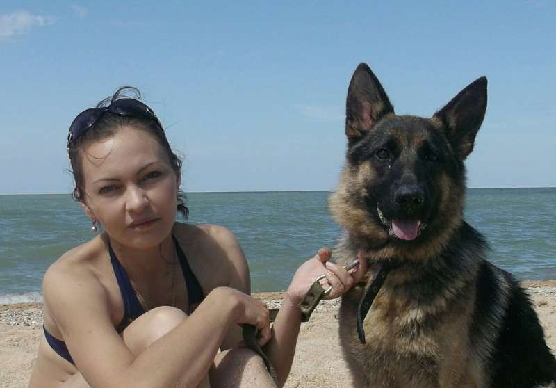  Извините, если не по адресу...