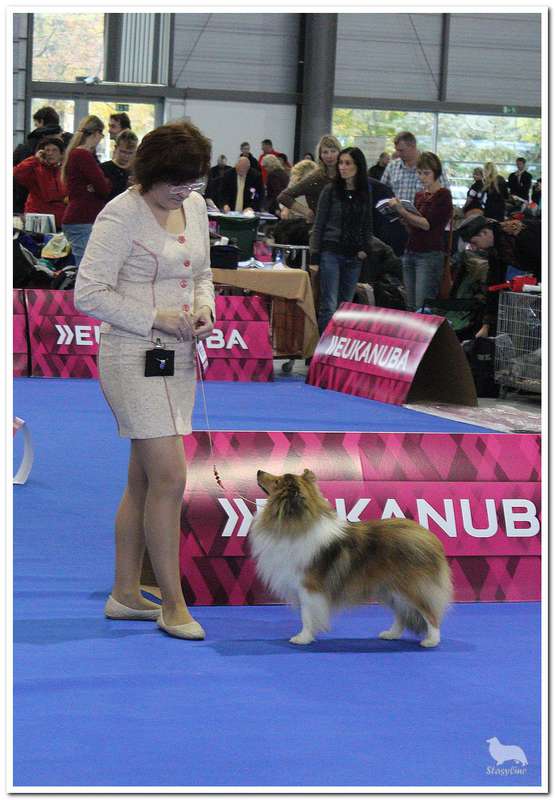  Чемпионат Европы 2014