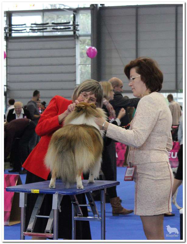  Чемпионат Европы 2014