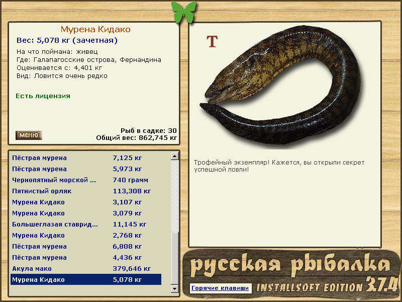 турниры • РУССКАЯ РЫБАЛКА