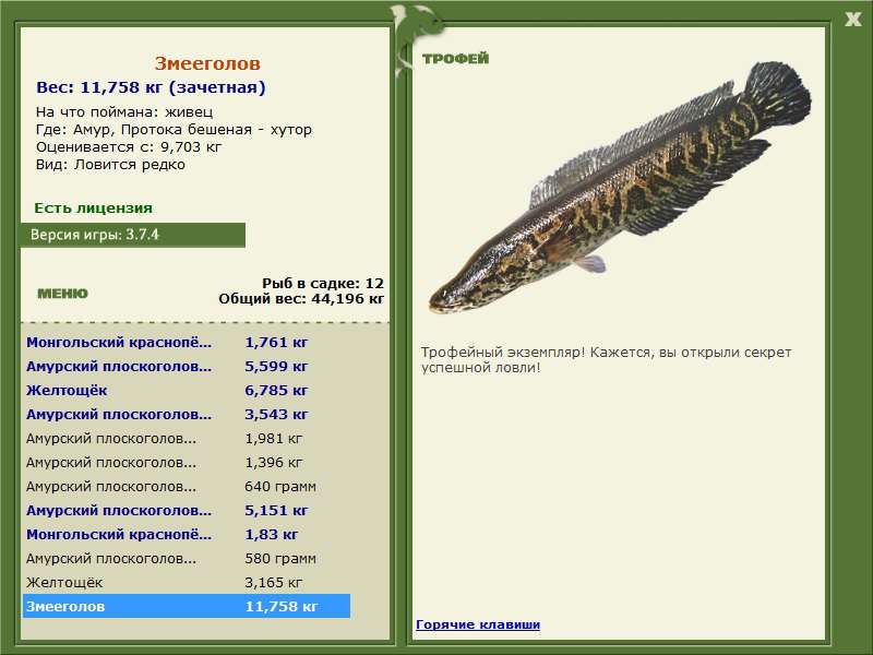  хутор • Амур • РУССКАЯ РЫБАЛКА