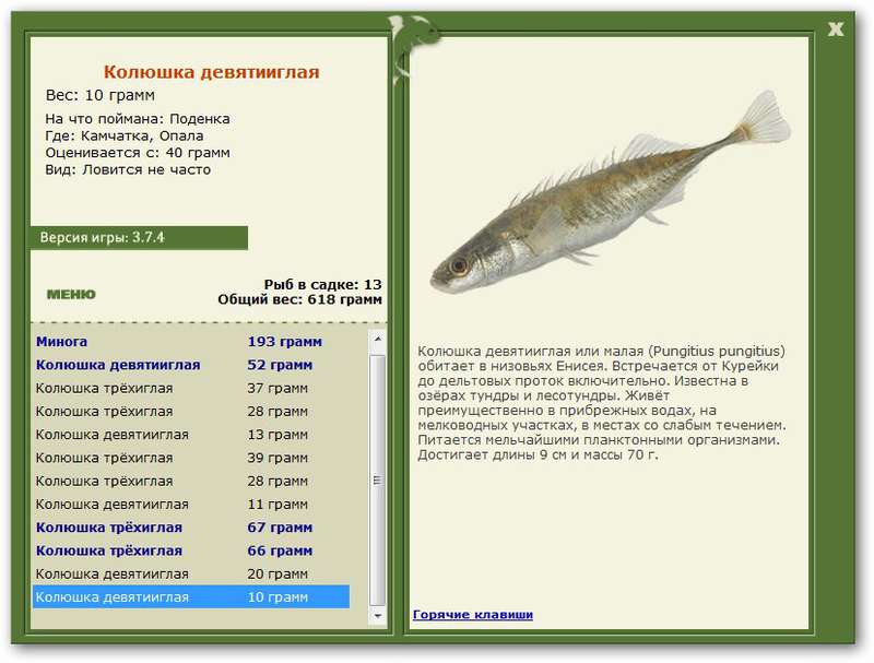 турниры • РУССКАЯ РЫБАЛКА