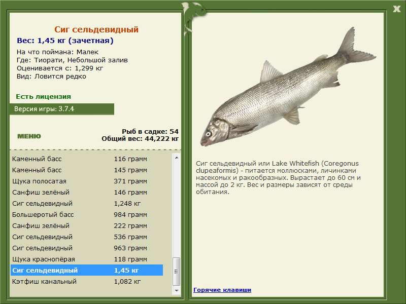 турниры • РУССКАЯ РЫБАЛКА