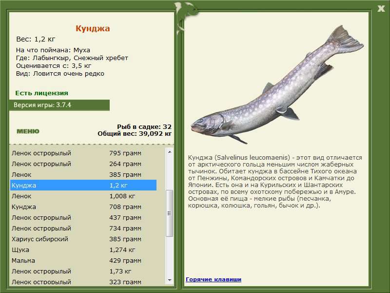 турниры • РУССКАЯ РЫБАЛКА