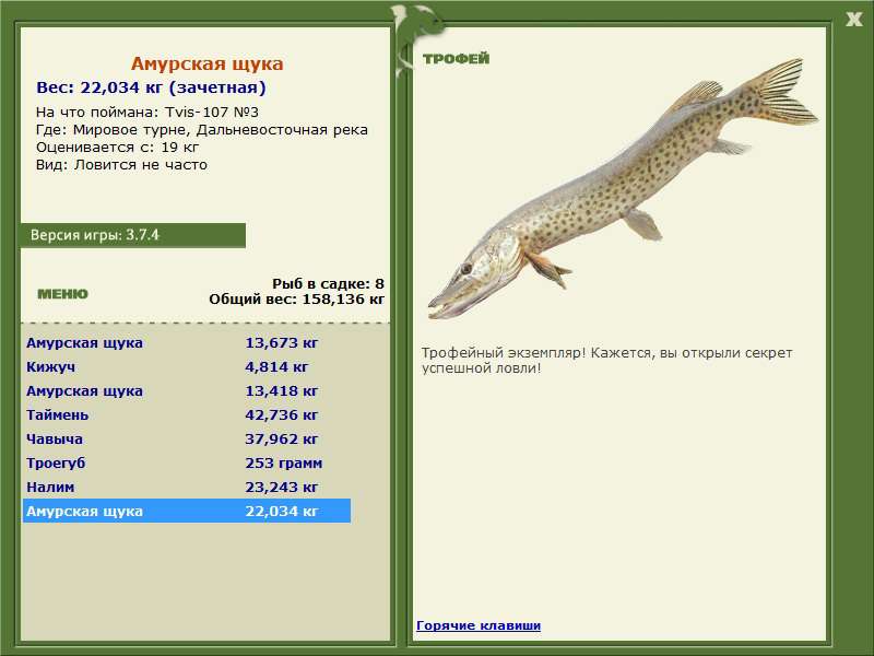 На что ловить судака летом и как выбрать место для ловли?