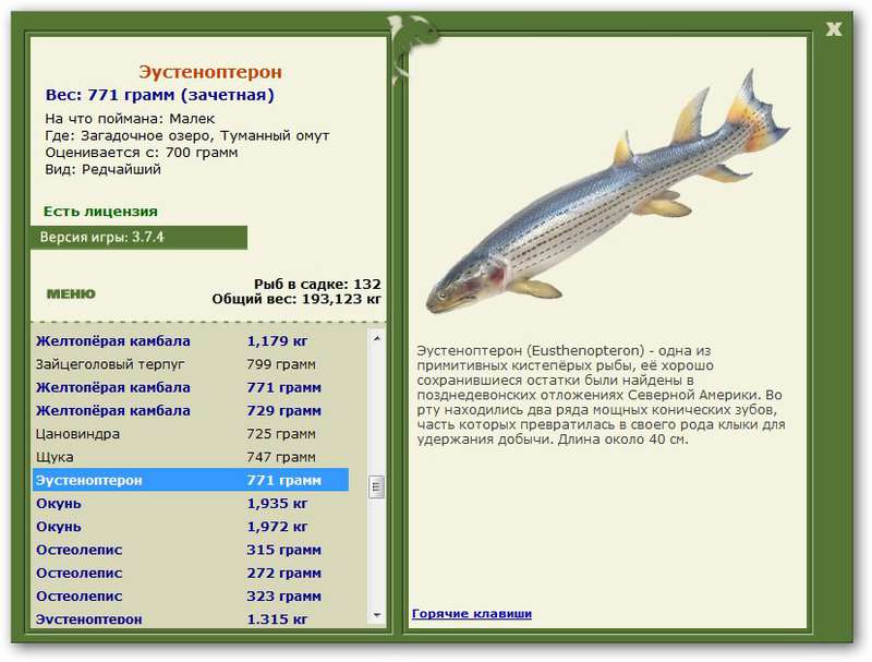 турниры • РУССКАЯ РЫБАЛКА