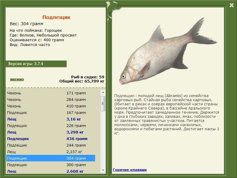 турниры • РУССКАЯ РЫБАЛКА