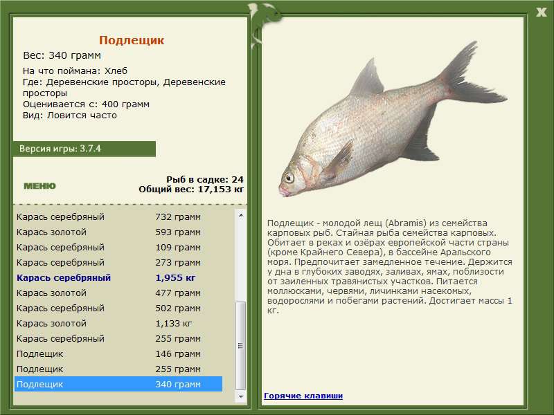 турниры • РУССКАЯ РЫБАЛКА