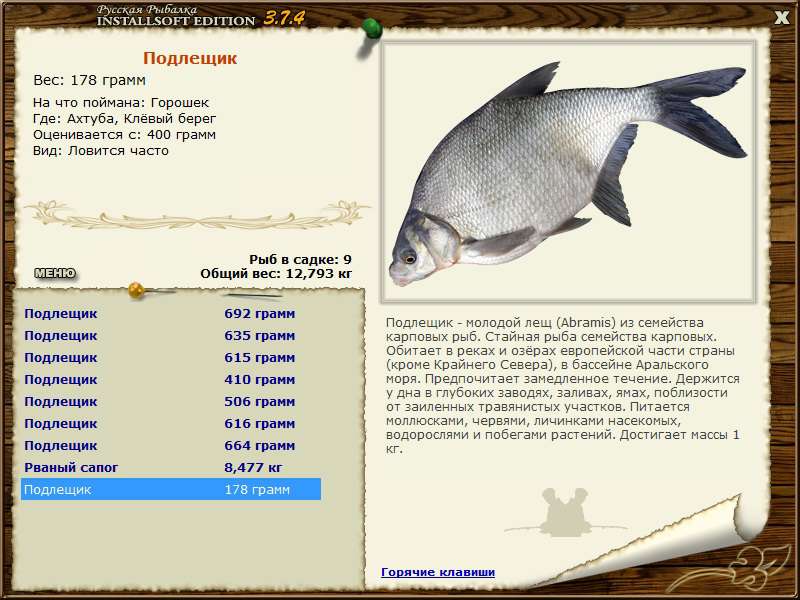 турниры • РУССКАЯ РЫБАЛКА